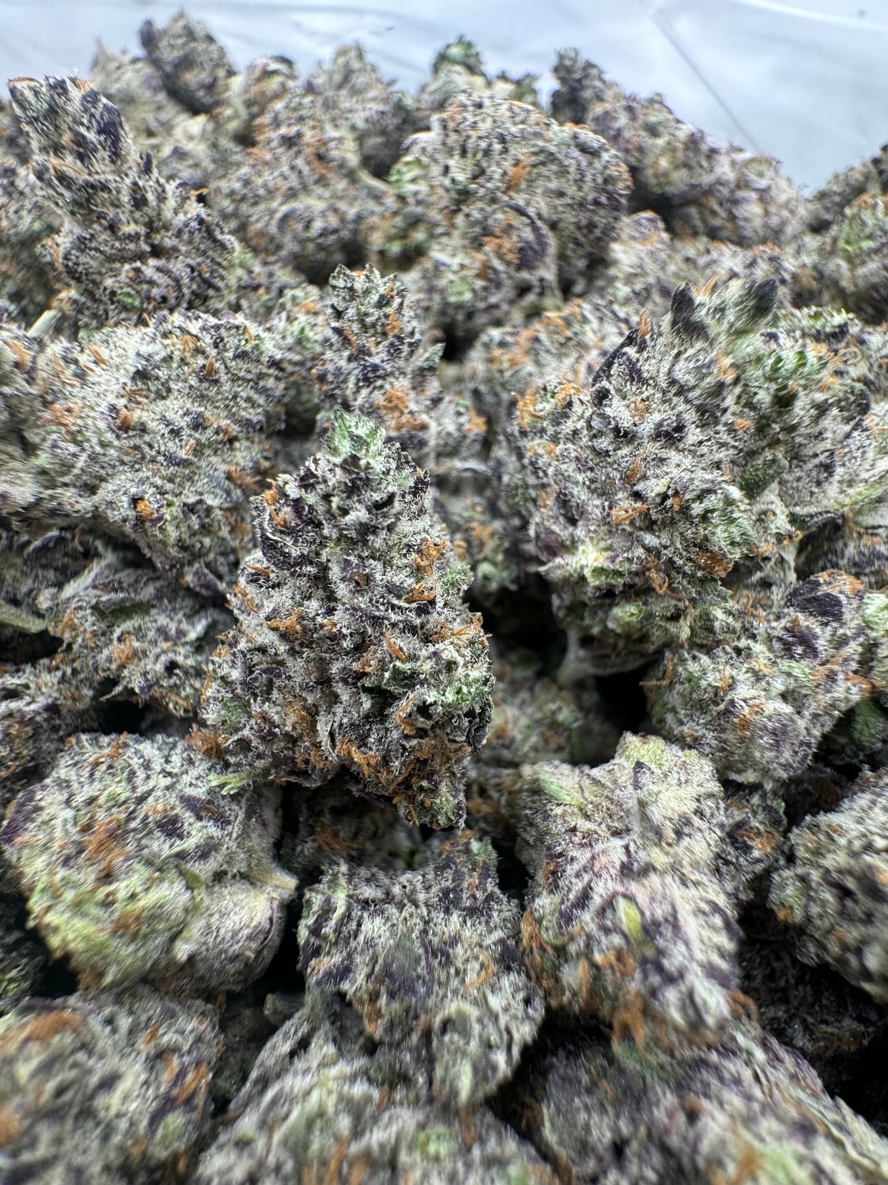 Black Velvet ( Infused Flower )