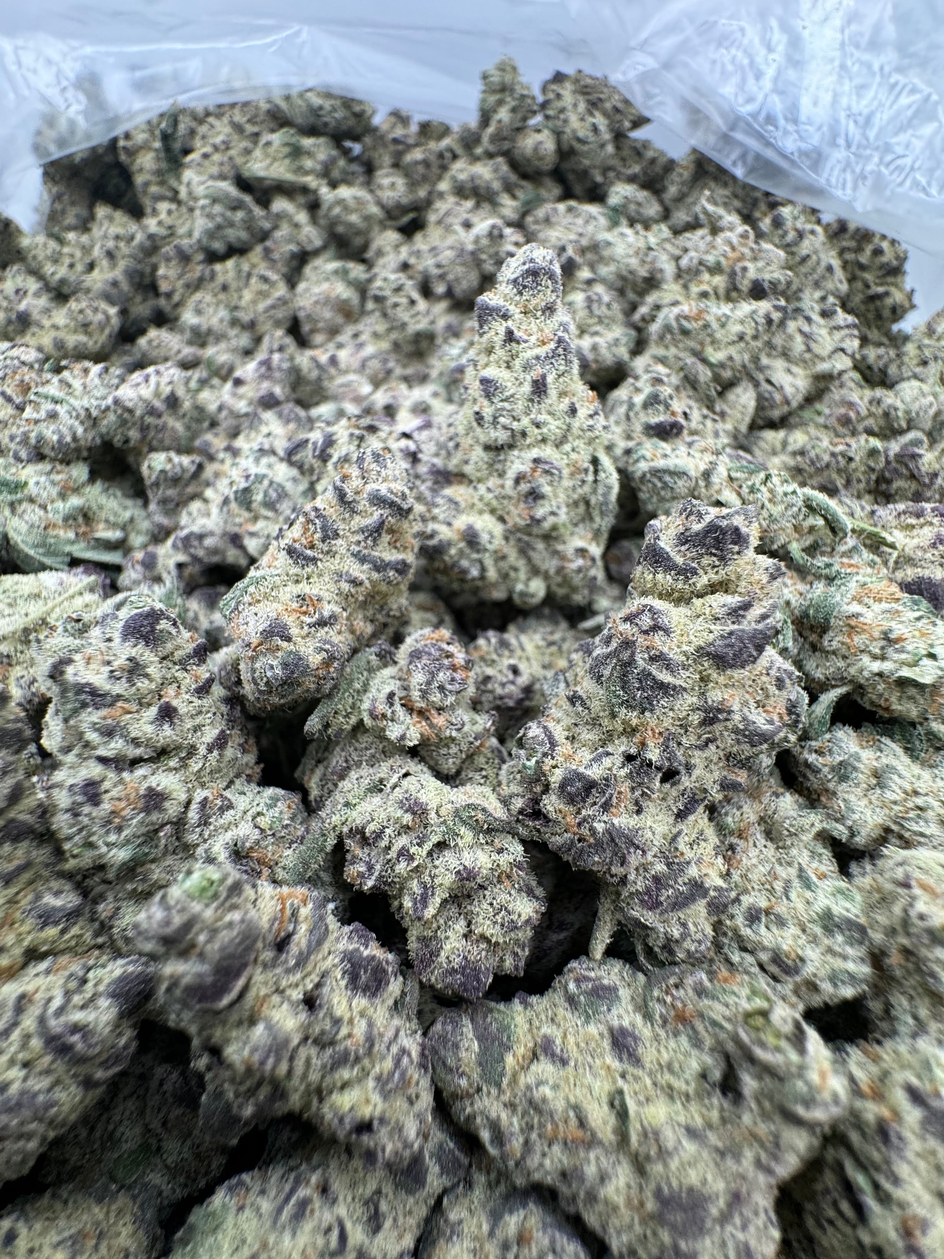 Lilac Diesel