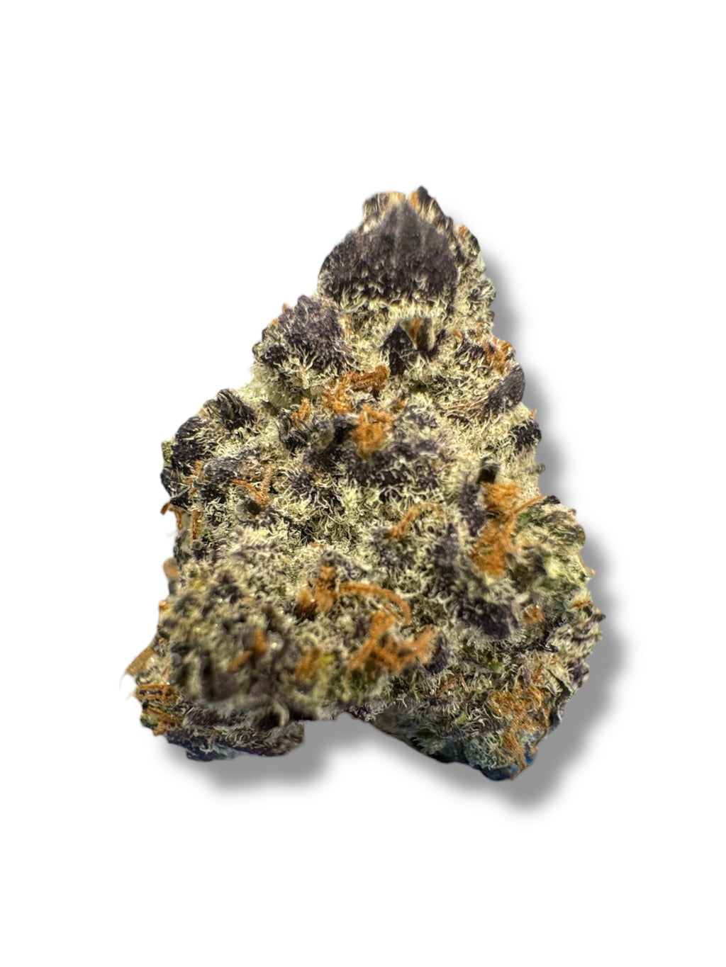 Black Velvet ( Infused Flower )